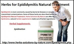 Epididymitis Natural Treatment - Herbs Solutions By Nature