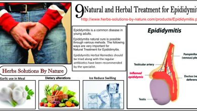 9 Natural and Herbal Treatment for Epididymitis