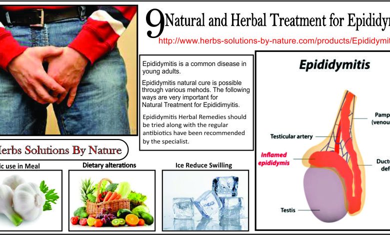 9 Natural and Herbal Treatment for Epididymitis