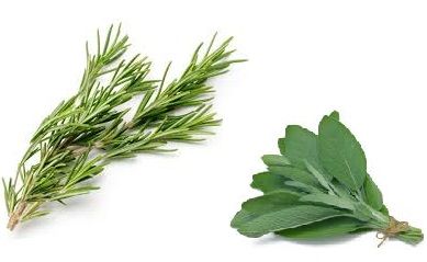 Natural Herbal Treatment for Premature Gray Hair Turns ...