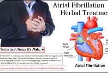 6 Herbal Treatments of Atrial Fibrillation