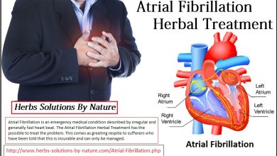 6 Herbal Treatments of Atrial Fibrillation