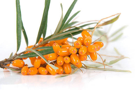 Herbal Treatment for Sjogren's Syndrome Dry Mouth and Eye - Herbs Solutions By Nature