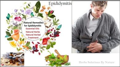Natural Remedies for Epididymitis the Best Way to Avoid the Disease
