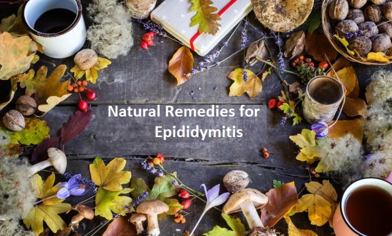 Natural Remedies for Epididymitis Treat the Infection