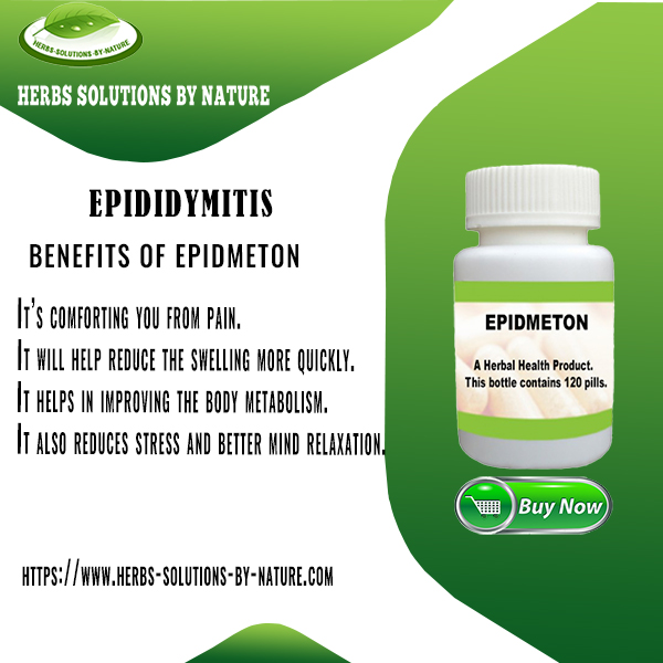 Herbal Supplement for Epididymitis