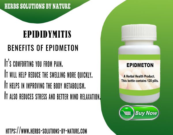 Reduce Your Epididymitis Pain with These Herbal Supplements