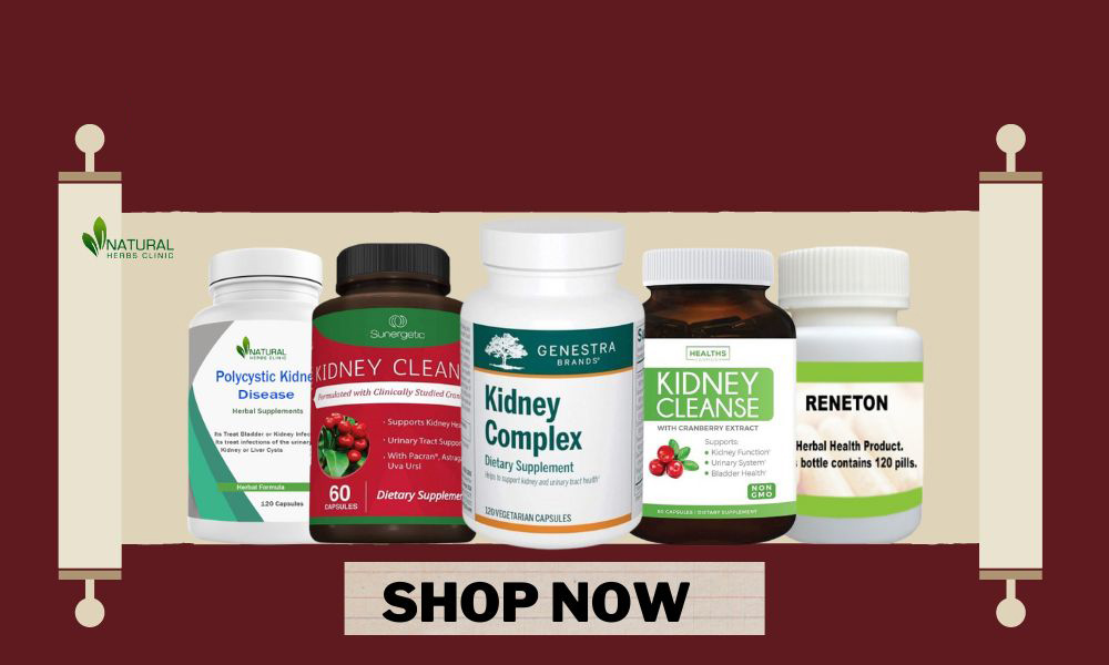 This New Kidney Disease Supplements Could Revolutionize Treatment This New Kidney Disease Supplements Could Revolutionize Treatment