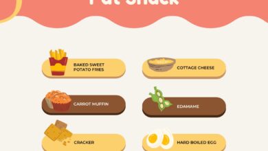 High Protein Low Fat Snack