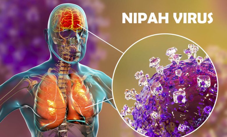 Nipah Virus Symptoms in Humans