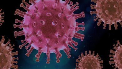 incubation period of nipah virus