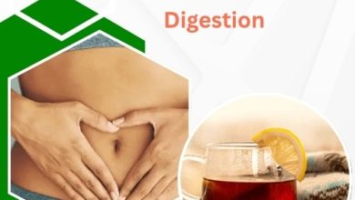 Top Herbal Teas for Better Gut Health and Digestion