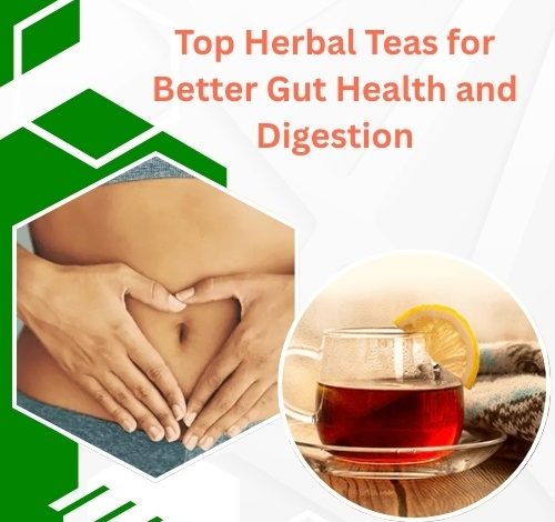 Top Herbal Teas for Better Gut Health and Digestion