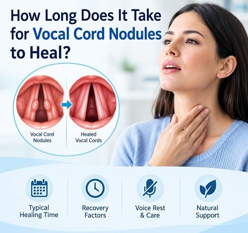 Medical illustration of the vocal folds showing vocal cord nodules and the healing process.